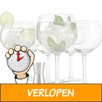 Luxe 8-delige Gin Tonic set