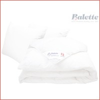 Balette donzen dekbedset