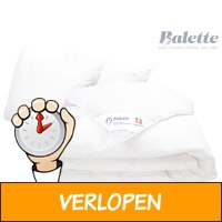 Balette donzen dekbedset