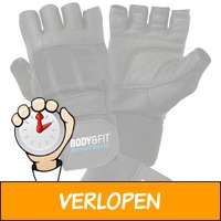 Fitness handschoenen