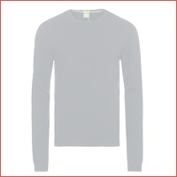 Hugo Boss pullover