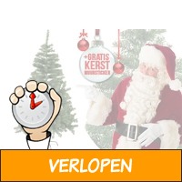 Kunstkerstboom met of zonder sneeuw