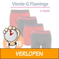 4 x Vinnie-G Flamingo boxershorts