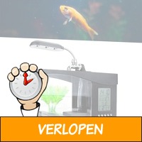 USB aquarium bureau organizer