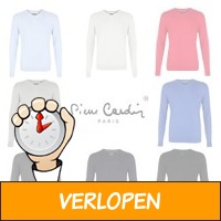 Pierre Cardin pullover met V-hals