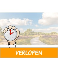 Onthaasten op de Veluwe