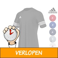 Adidas Entrada 14 shirt