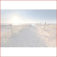 2 of 3 dagen aan het strand van Oostende