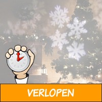 Sneeuwvlokjes projectielamp