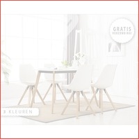 2 x Scandinavische designstoelen