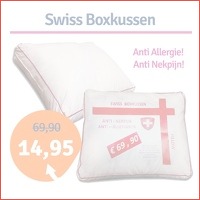 Swiss boxkussen