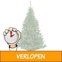 Kerstboom Tirol