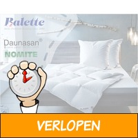 Balette donzen dekbed + gratis hoofdkussens