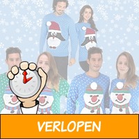 Veiling: uniseks kersttruien