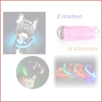 LED-halsband voor je hond