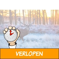 3 dagen midden op de Veluwe