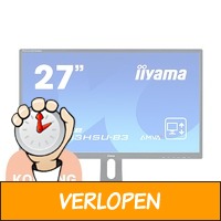 iiyama 27 inch ProLite monitor