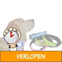 Lichtgevende halsband hond