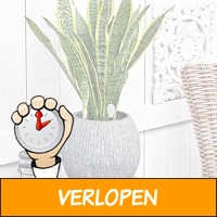 Slimme plantensensor