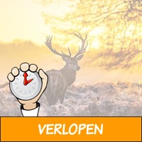 4 dagen Veluwe