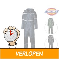 Dickies Coverall