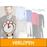 Pierre Cardin heren pullover