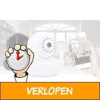 Veiling: indoor WiFi HD camera