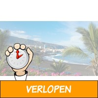 Studio op vulkanisch Tenerife