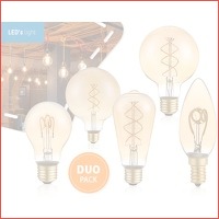 2 dimbare LED lampen - vintage look