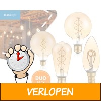 2 dimbare LED lampen - vintage look