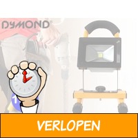 Dymond Zuinige werklamp