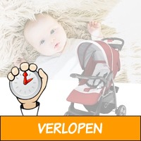 Veiling: Lionelo kinderwagen Emma