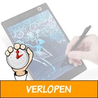 9,7 inch tekentablet plus stylus