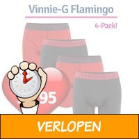 4 x Vinnie-G Flamingo boxershorts