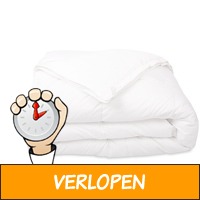 Vier-seizoenendekbed