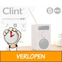 Clint F4 DAB+/FM radio met Bluetooth