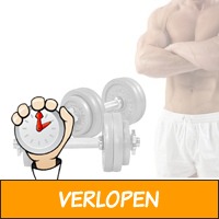 Dumbellset 30 kg gietijzer