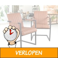 Set van 2 stoelen Brussels