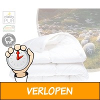 100% wollen 4-seizoenen dekbed