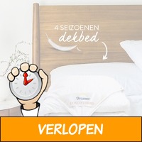 Dreamio 4-seizoenen dekbed