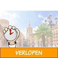 Voordelig naar Valencia