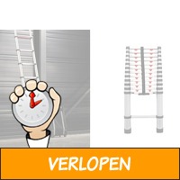 Telescopisch uitschuifbare ladder