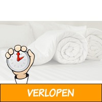 4-seizoenen dekbed