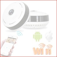 360 graden Fisheye IP camera