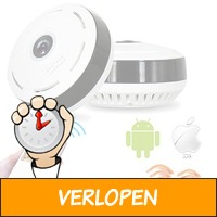 360 graden Fisheye IP camera