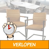 2 Difano Design eetkamerstoelen