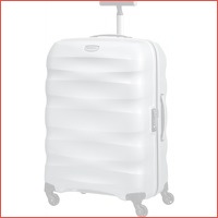 Samsonite Engenero Spinner