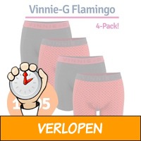 Vinnie-G boxershorts Flamingo Antraciet - Print