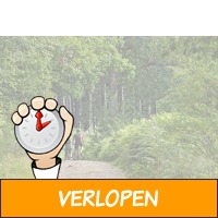 4 dagen in een Ridderkamer in de Ardennen