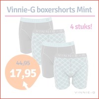 4-pack Vinnie-G Mint Print boxershorts
